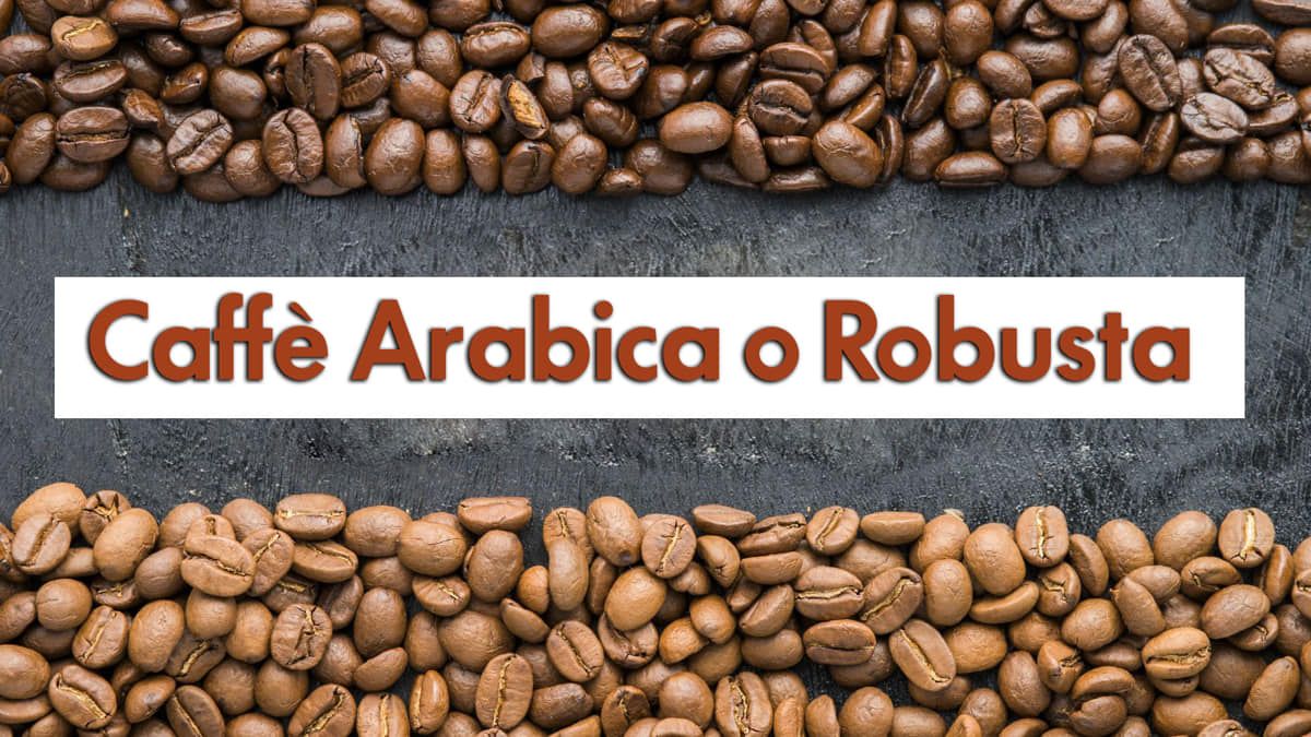 Scopri tutte le differenze tra il caffè Arabica e caffè Robusta