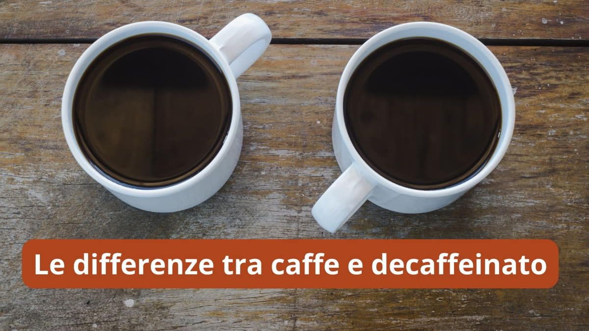 e differenze tra caffe e decaffeinato, scopri le diverse caratteristiche